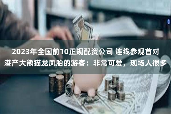 2023年全国前10正规配资公司 连线参观首对港产大熊猫龙凤胎的游客：非常可爱，现场人很多
