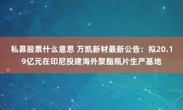 私募股票什么意思 万凯新材最新公告：拟20.19亿元在印尼投建海外聚酯瓶片生产基地