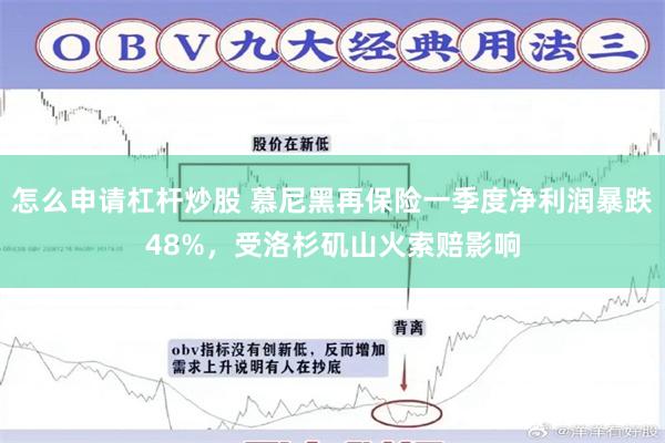 怎么申请杠杆炒股 慕尼黑再保险一季度净利润暴跌48%，受洛杉矶山火索赔影响