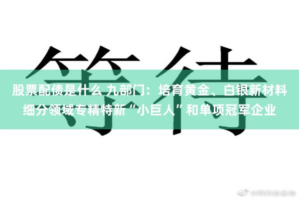 股票配债是什么 九部门：培育黄金、白银新材料细分领域专精特新“小巨人”和单项冠军企业