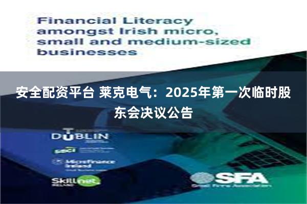 安全配资平台 莱克电气：2025年第一次临时股东会决议公告